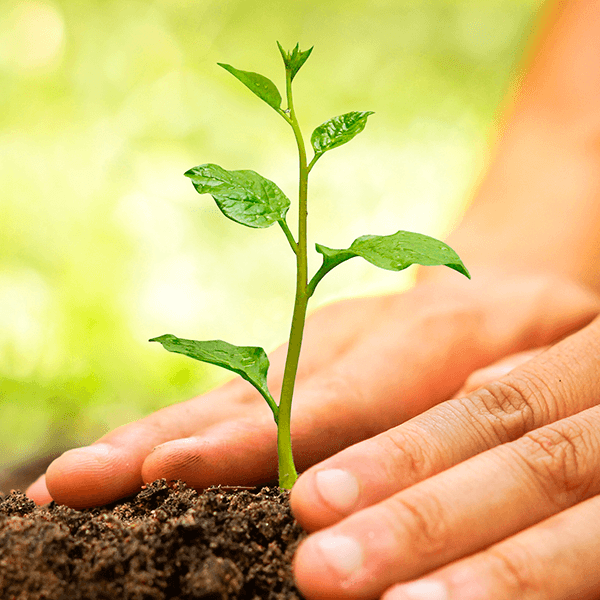Plano de Controle Ambiental (PCA)