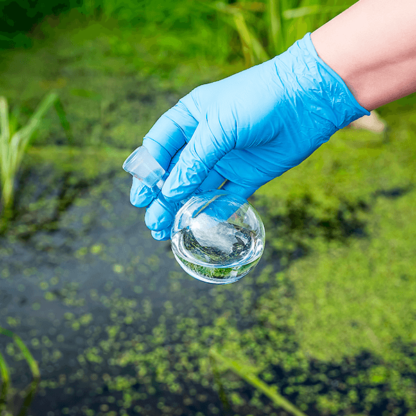 Estudo Ambiental Preliminar (EAP)