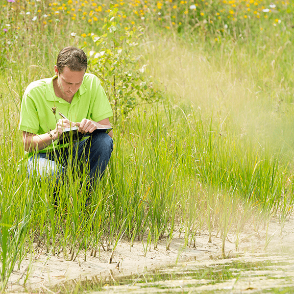 Estudo Ambiental Simplificado (EAS)