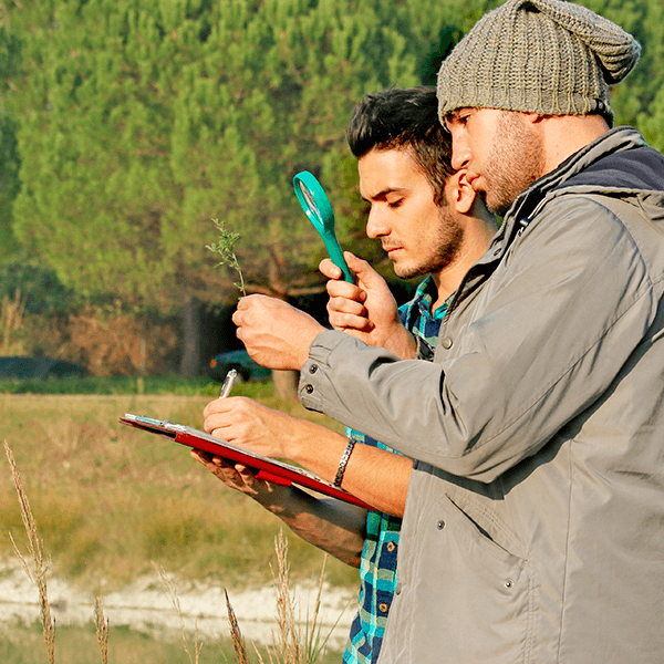 Relatório Ambiental Simplificado (RAS)